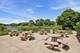 2054 Winding Lakes, Plainfield, IL 60586