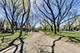 2308 W Belden, Chicago, IL 60647