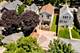 4146 N Kilbourn, Chicago, IL 60641