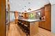 520 Greenwood, Kenilworth, IL 60043