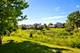375 Juniper Tree, Hoffman Estates, IL 60169