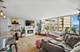 3950 N Lake Shore Unit 2015, Chicago, IL 60613