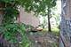 4037 W Wilcox, Chicago, IL 60624