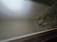 426 N Trumbull, Chicago, IL 60624