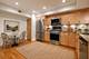 415 Franklin Unit 2C, River Forest, IL 60305