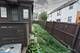 1348 Crosby, Rockford, IL 61107