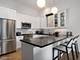 1113 N Hermitage Unit 3, Chicago, IL 60622