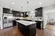 389 Michael John, Park Ridge, IL 60068