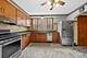 1716 N Neva, Chicago, IL 60707