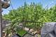 2201 W Wabansia Unit 17, Chicago, IL 60647