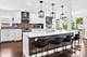 9130 Kenton, Skokie, IL 60076