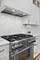 2254 W Roscoe Unit 1, Chicago, IL 60618