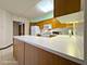 1325 Perry Unit 402, Des Plaines, IL 60016
