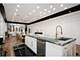 22 E Elm, Chicago, IL 60611