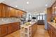8219 W Summerdale, Chicago, IL 60656