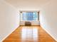 211 E Ohio Unit 1821, Chicago, IL 60611
