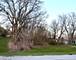 2N309 Pearl, Glen Ellyn, IL 60137