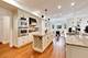1932 Larkdale, Glenview, IL 60025
