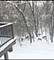 927 Treeline, Lockport, IL 60441