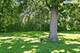 37W384 Ronsu, St. Charles, IL 60175