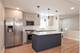 8728 S King, Chicago, IL 60619