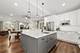 410 Belleplaine, Park Ridge, IL 60068
