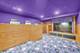 21459 Brittany, Frankfort, IL 60423
