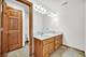 21459 Brittany, Frankfort, IL 60423