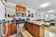 1332 W Nelson Unit GDN, Chicago, IL 60657