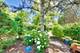 138 Ashland, River Forest, IL 60305