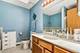 459 Davinci, Bolingbrook, IL 60440