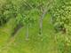 15332 Kenton, Oak Forest, IL 60452