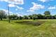 9908 S Carls, Plainfield, IL 60585
