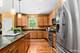 461 Mooresfield, Elgin, IL 60124