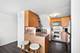 1221 N Dearborn Unit 1010S, Chicago, IL 60610