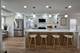 9115 Sherman, Brookfield, IL 60513