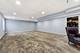 3871 Crooked Creek, Elgin, IL 60124