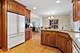 2025 Ivy, Schaumburg, IL 60194