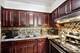 414 S Scoville Unit 18, Oak Park, IL 60302