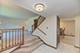 910 W White Oak, Arlington Heights, IL 60005