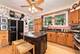 1605 S Fairview, Park Ridge, IL 60068