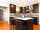 7824 Sea Pines, Orland Park, IL 60462