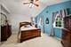 12208 S Shagbark, Plainfield, IL 60585