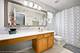 12208 S Shagbark, Plainfield, IL 60585