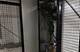 13149 Forest Ridge Unit 3C, Palos Heights, IL 60463