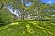 14323 S Beacon, Orland Park, IL 60462