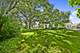 14323 S Beacon, Orland Park, IL 60462