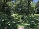 14329 S Beacon, Orland Park, IL 60462