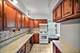 12 Elmore, Park Ridge, IL 60068