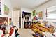 2102 W Belle Plaine, Chicago, IL 60618